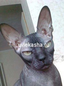 доченька-плюша-руссо-05.11.2007